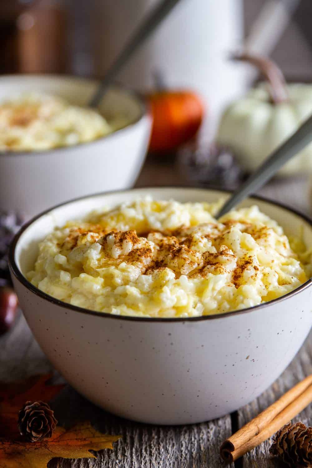 a close up image of delicious squash rice pudding in a white bowl with cinnamon on top and a spoon inside