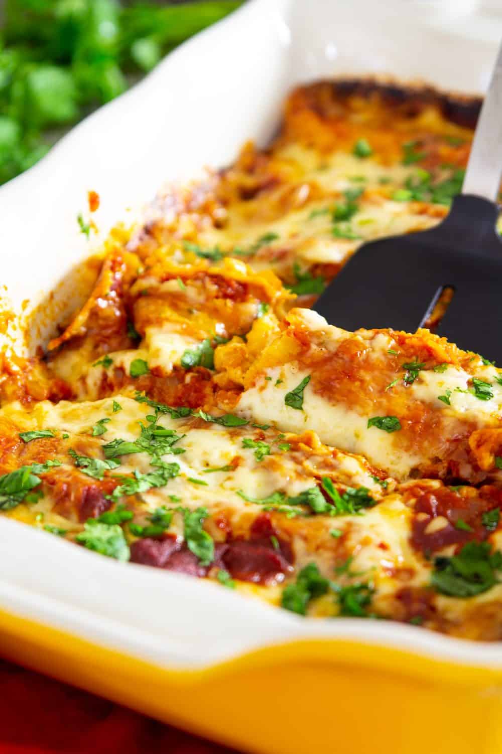 Chicken Enchiladas with Red Sauce Simply Home Cooked