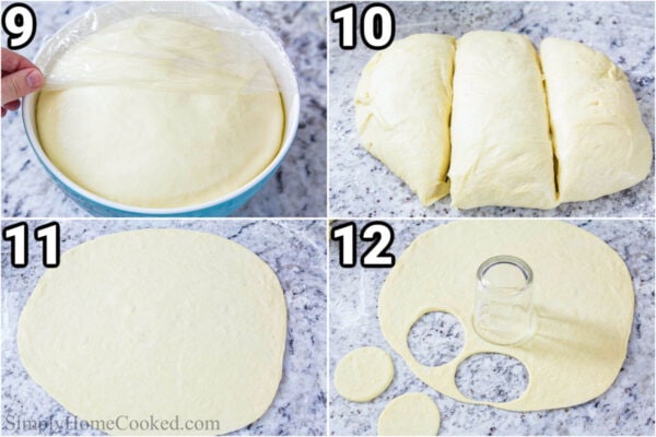 Steps to make Poppy Seed Pull Apart Bread: let the dough rise, then divide it into thirds and flatten before cutting out circles in the dough with a cup.