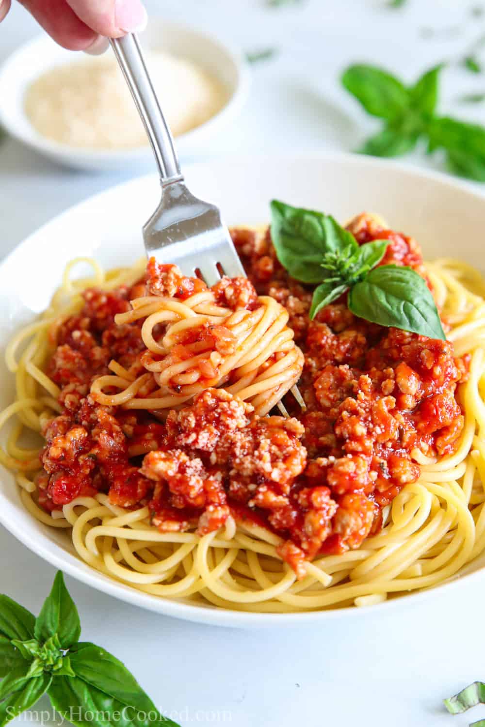 close up image of spaghetti and meat sauce in a white plate with a fork swirled into the pasta