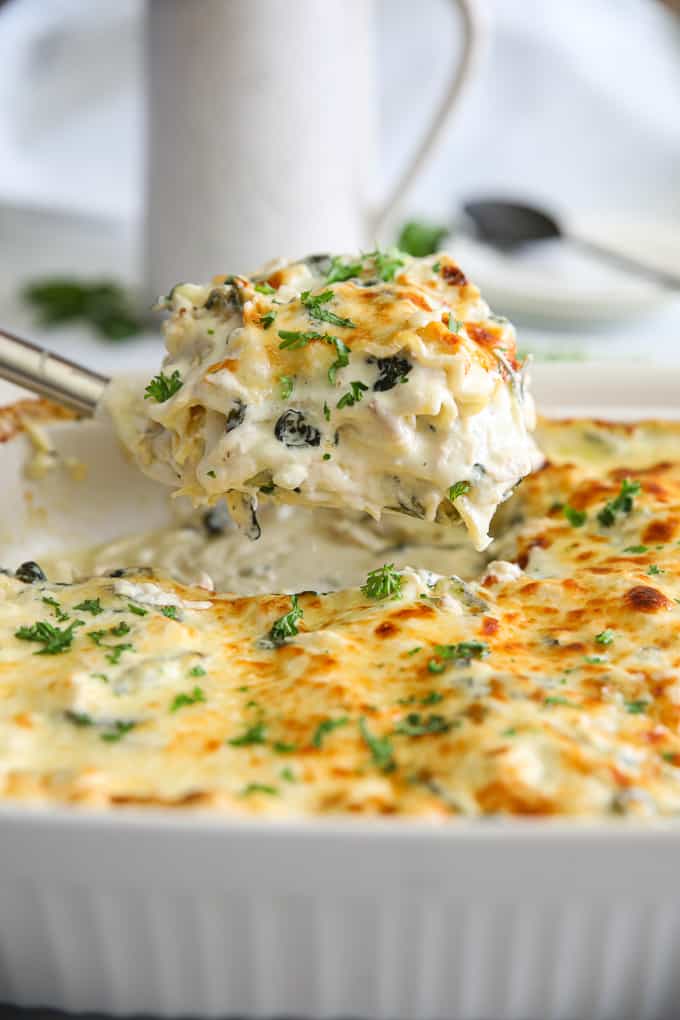 a spatula holding up a piece of chicken alfredo lasagna that shows all the creamy alfredo sauce