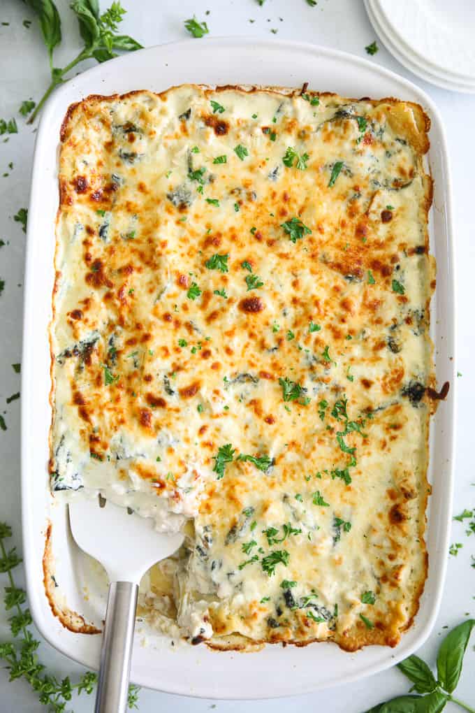 A overhead picture of a delicious chicken alfredo lasagna in a white ceramic dish.