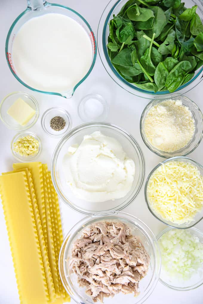 a picture of all the ingredients to make this easy lasagna recipe