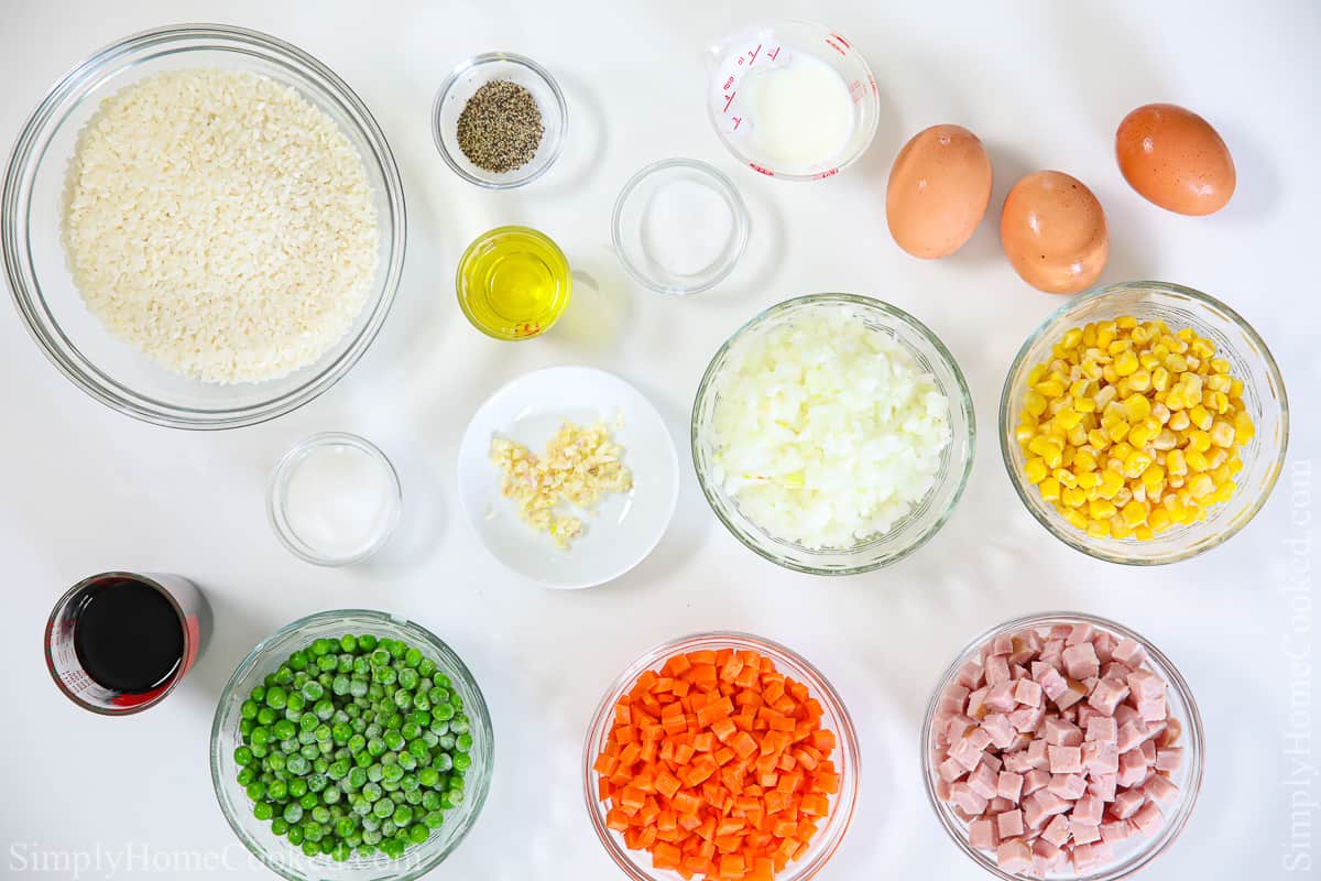 overhead photo of ingredients for pork fried on a blank white background