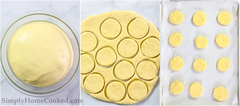 Steps to make Perfect Sugar Donuts, including letting the dough rise, cutting out the donut shapes, and letting them rise again on a parchment lined baking sheet.
