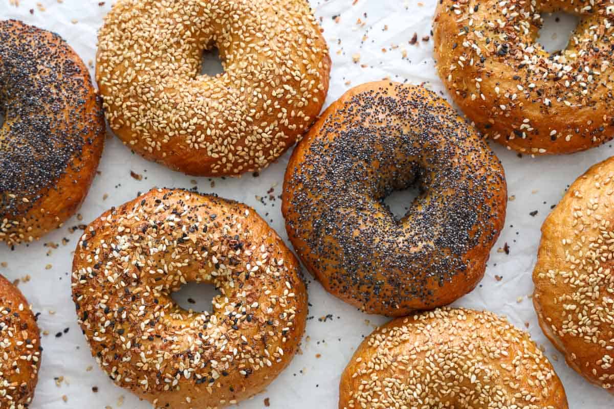 New York Bagels