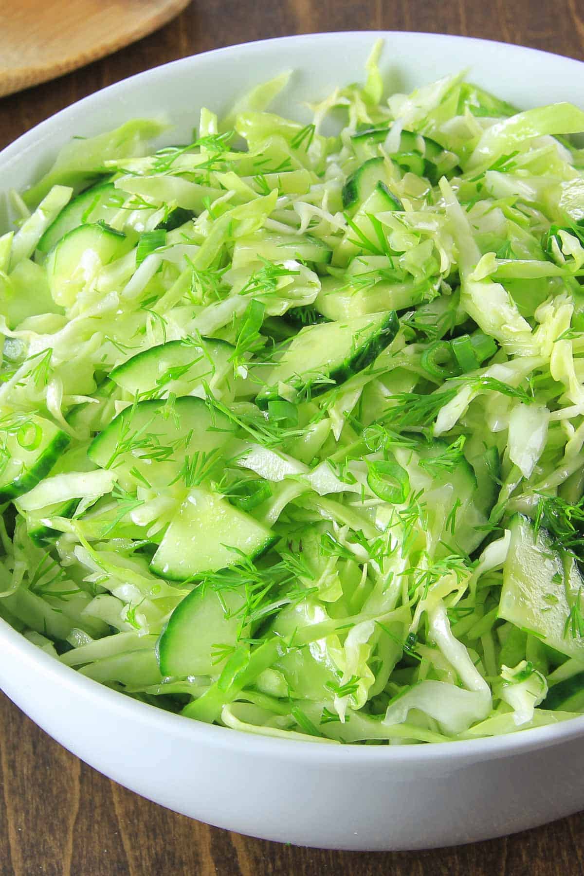 Close up of Cabbage Cucumber Salad with fresh dill