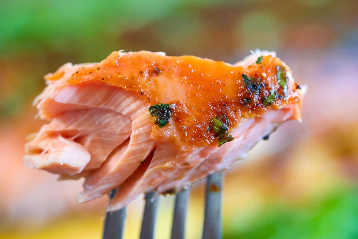 Cedar Plank Salmon on a fork.
