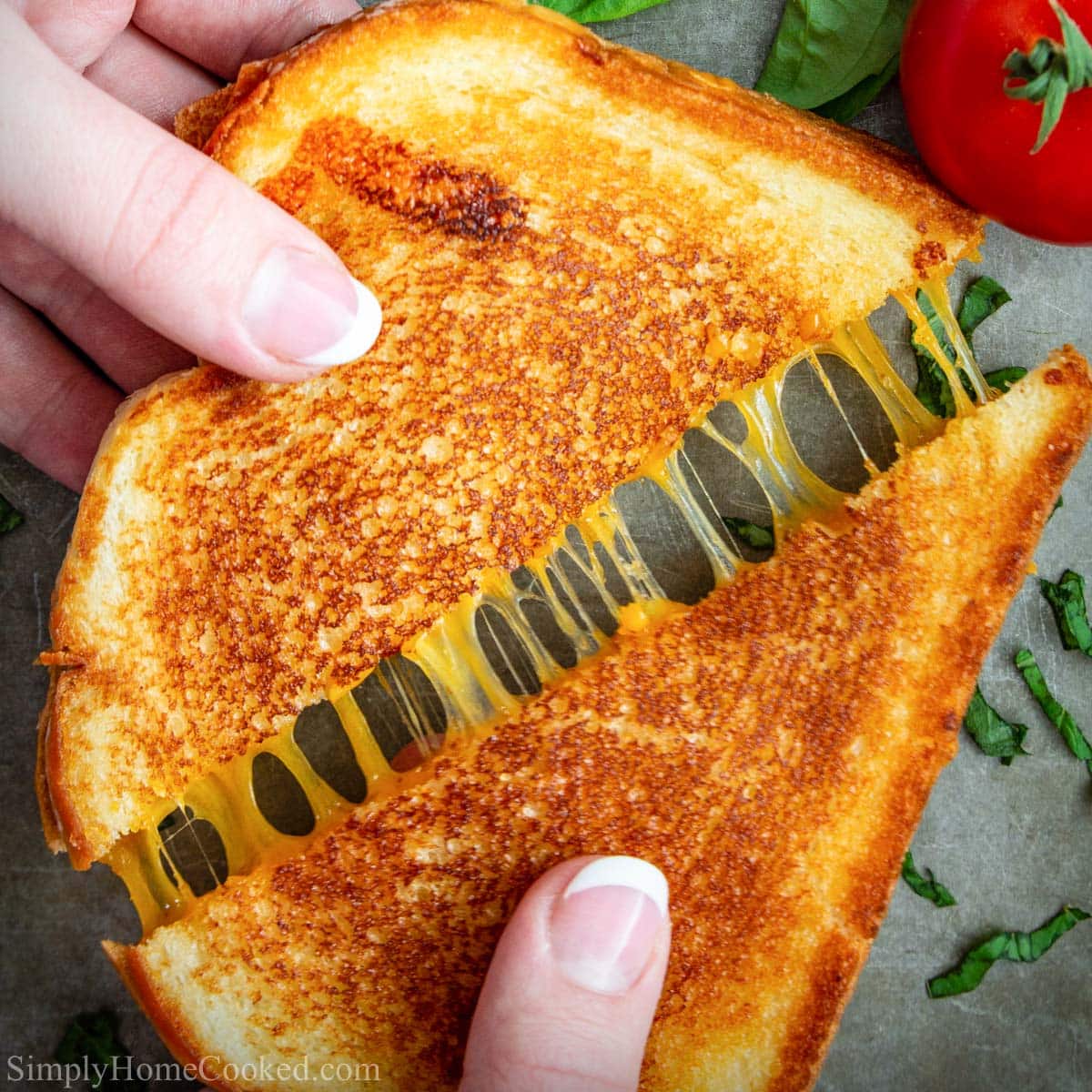 https://simplyhomecooked.com/wp-content/uploads/2021/06/grilled-cheese-sandwich-3.jpg