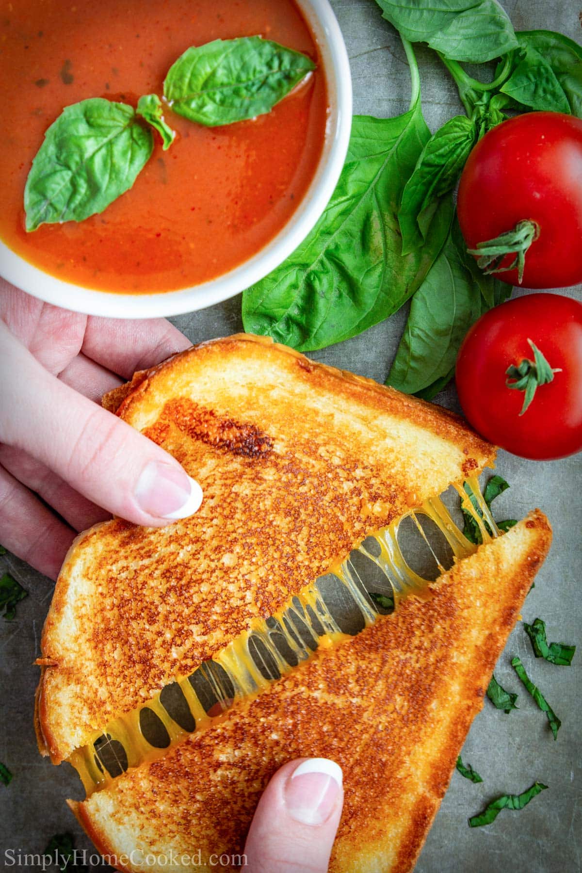 Vertical image of a Grilled Cheese Sandwich being pulled apart, with tomatoes and tomato soup in the background