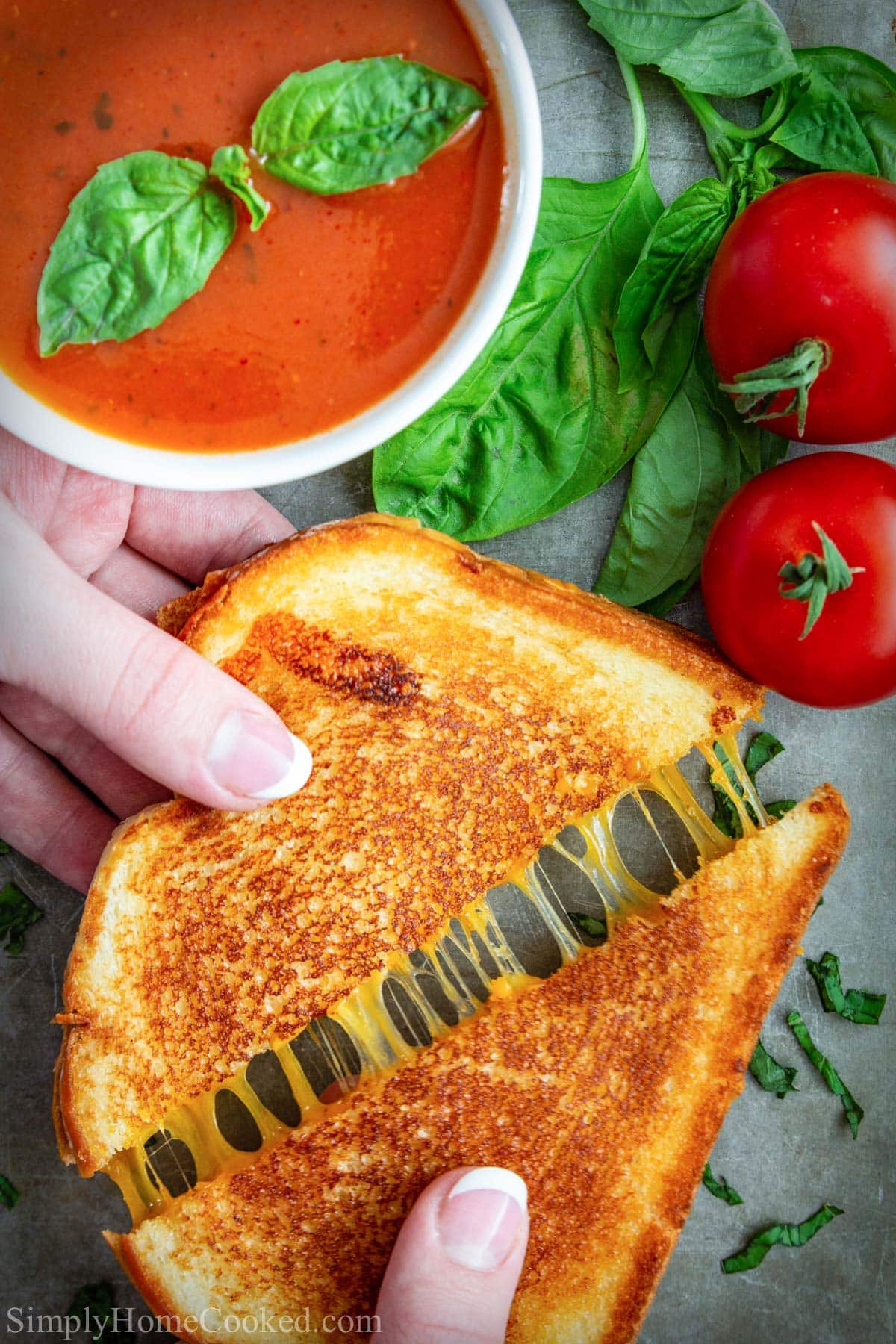 Classic Cheese Sandwich Something About Sandwiches