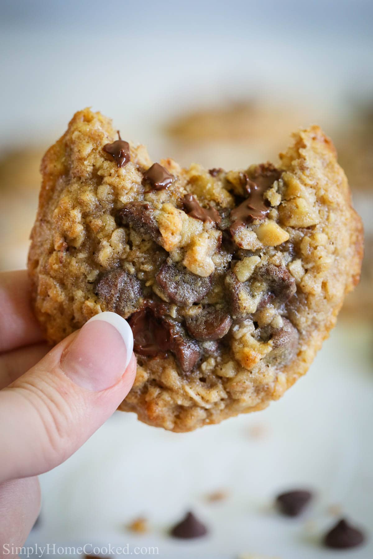 Close up of a hand holding an Oatmeal Chocolate Chip Cookie with a bite missing 