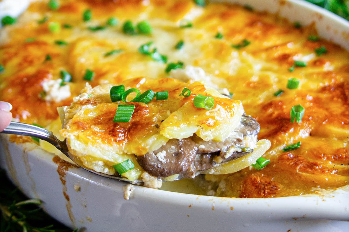 Horizontal image of Scalloped Potatoes with a spoonful being lifted out