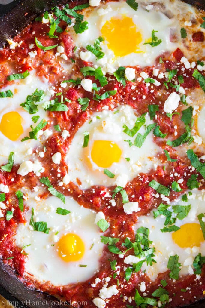 Shakshuka Recipe - Simply Home Cooked