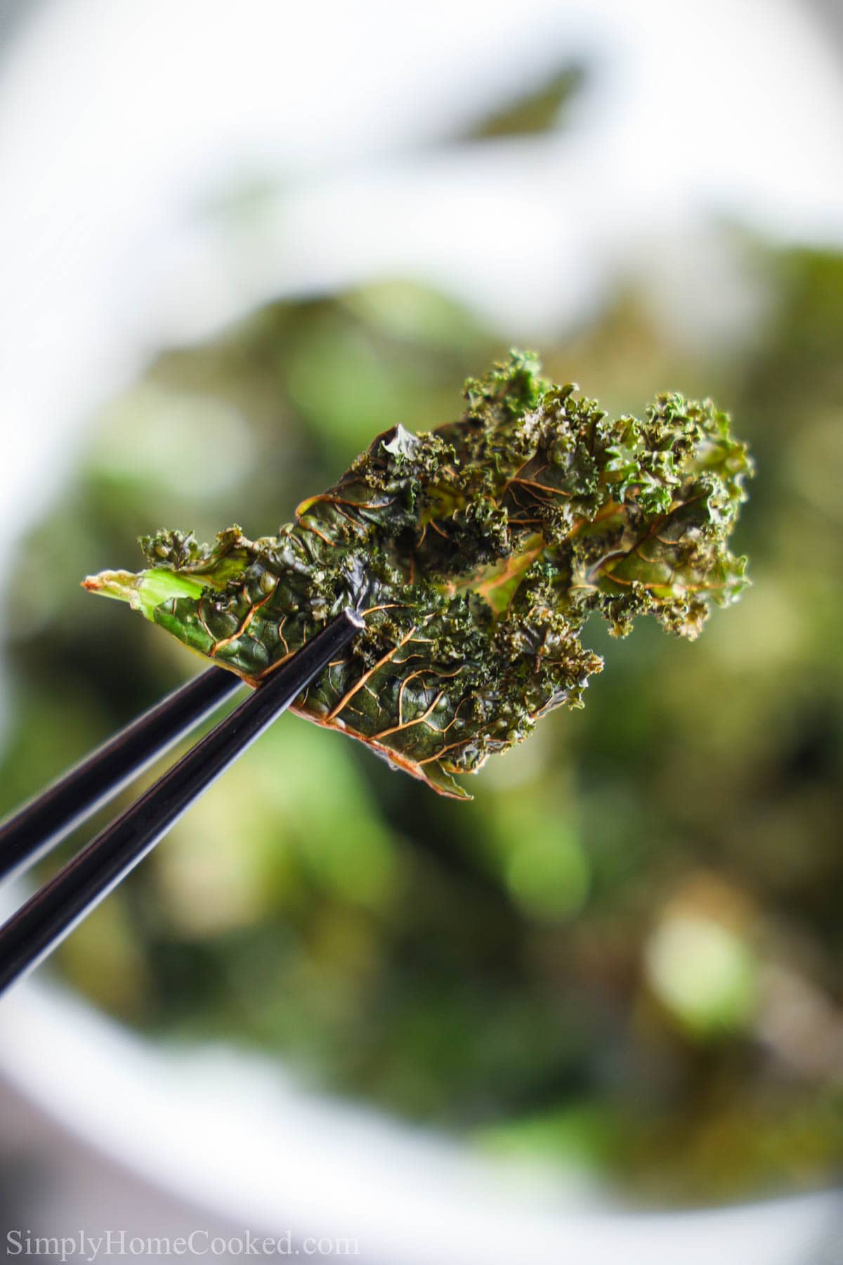 Vertical image of an Air Fryer Kale Chip being held by chopsticks