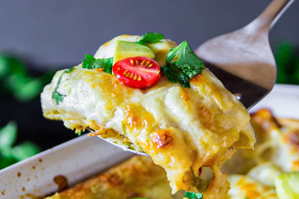 Horizontal image of White Chicken Enchiladas with tomatoes, avocado and cilantro on top being lifted up on a fork