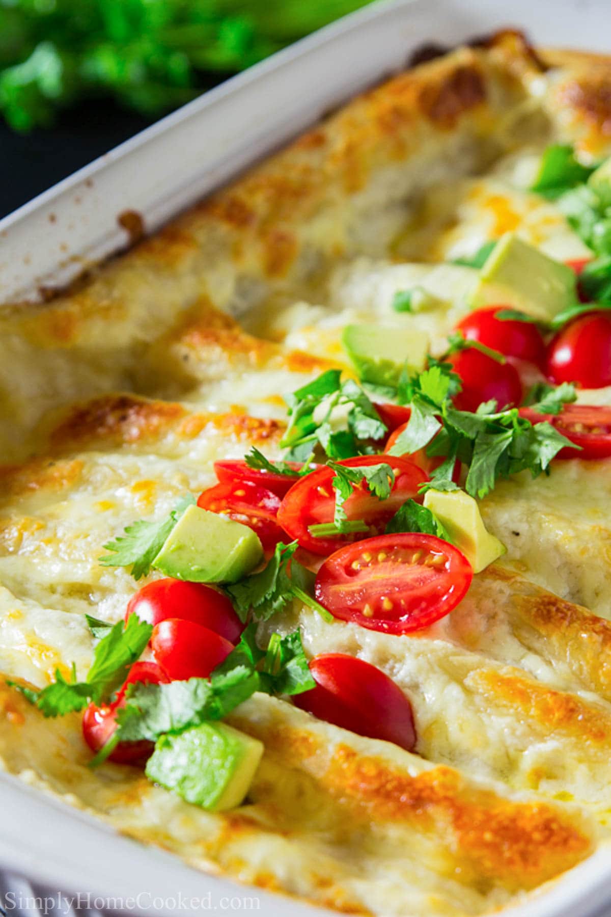 White Chicken Enchiladas in a pan with tomatoes, avocado and cilantro on top