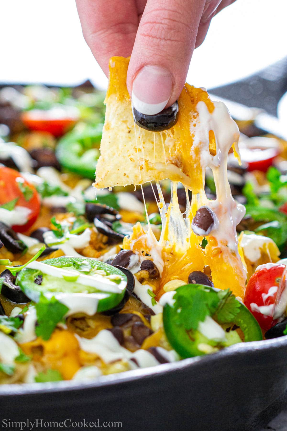 Hand lifting one chip with melted cheese from a skillet of Loaded Chicken Nachos.