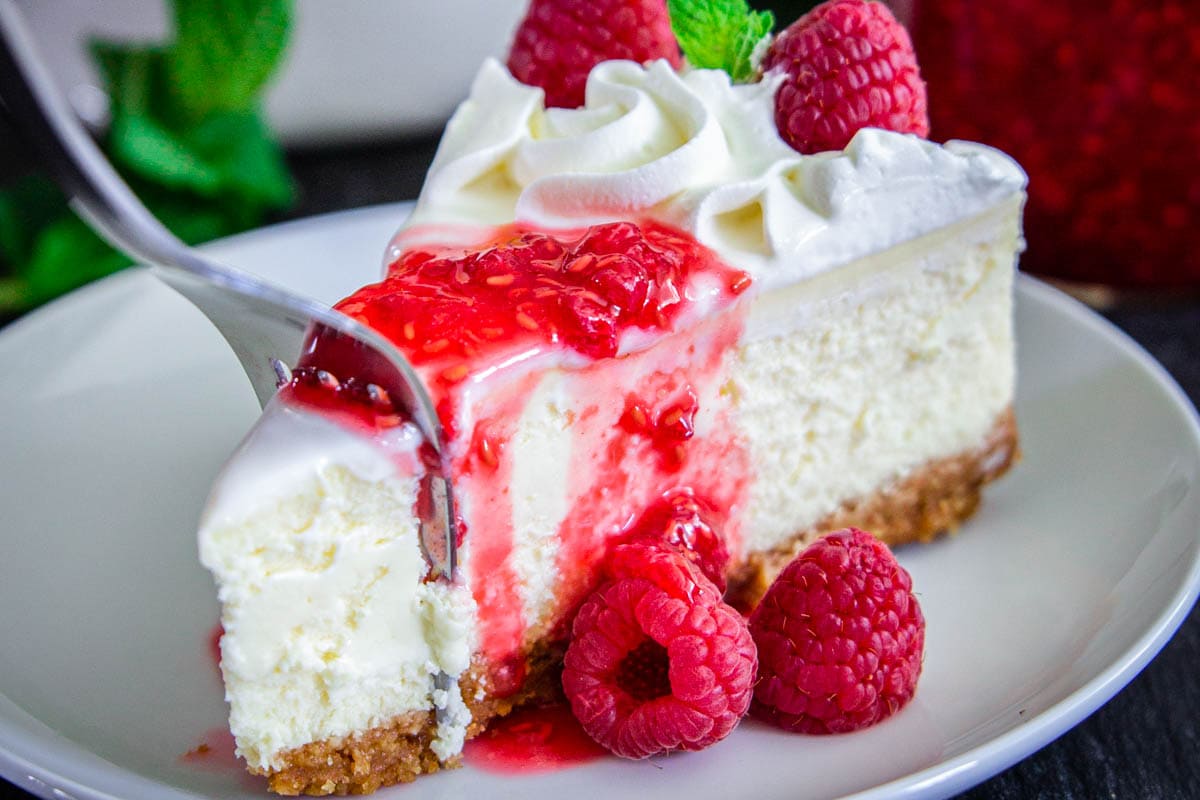 Slice of New York Style Cheesecake on a white plate and topped with raspberry sauce and fresh berries, a fork breaking off a piece.