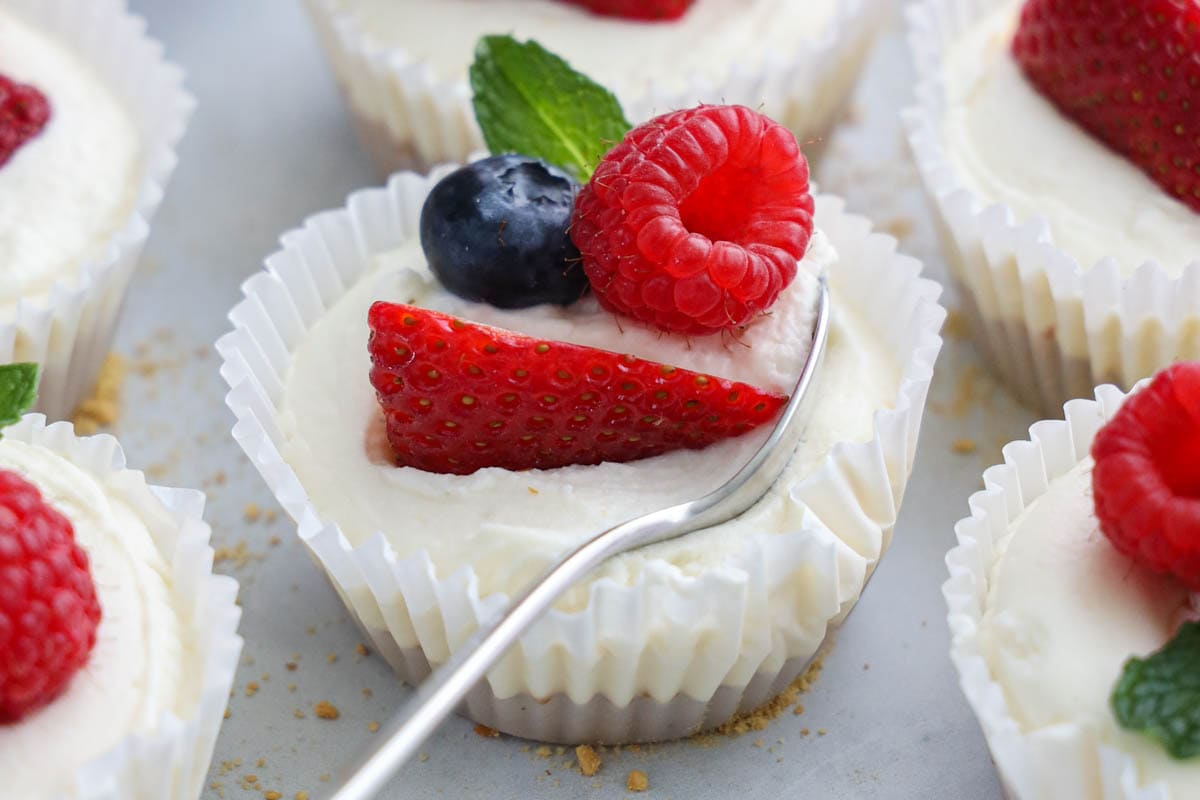 No Bake Mini Cheesecakes topped with fresh berries, one being scooped by a spoon
