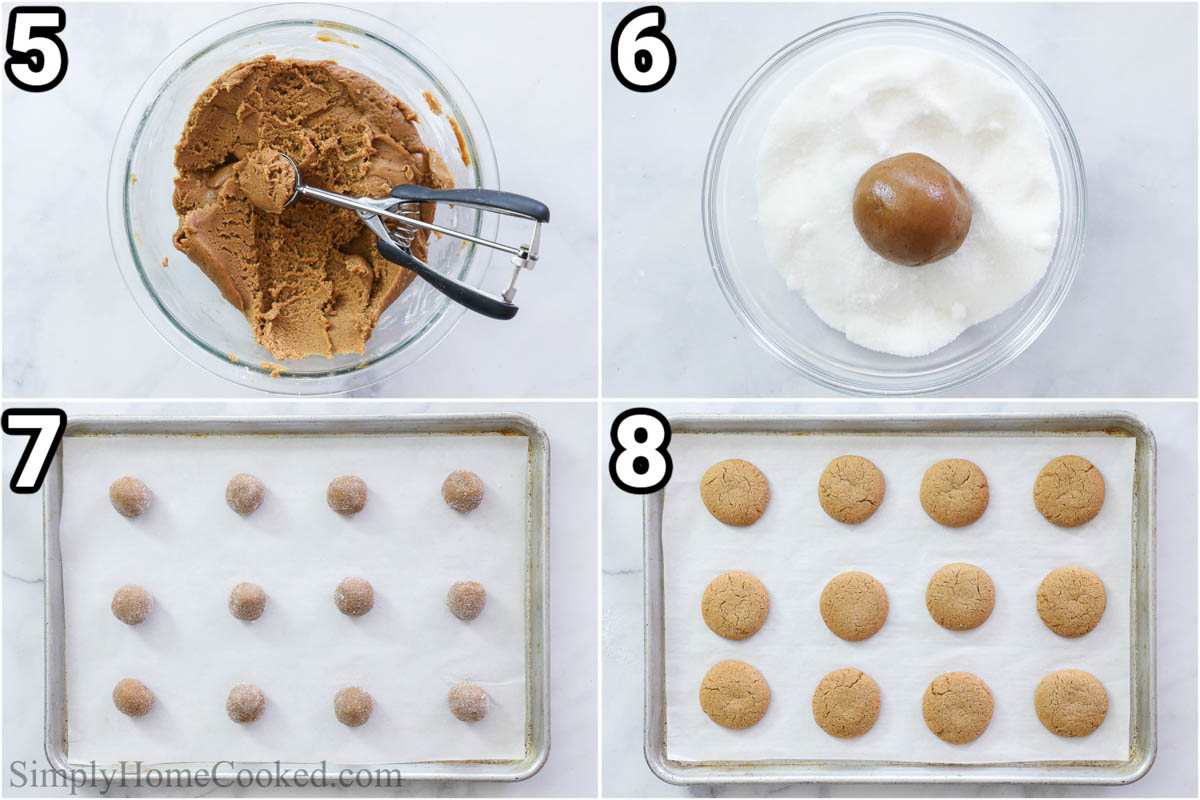 Steps to make Gingersnap Cookies: scooping out the dough, rolling it into balls, rolling them in sugar, and then baking them on a baking pan.