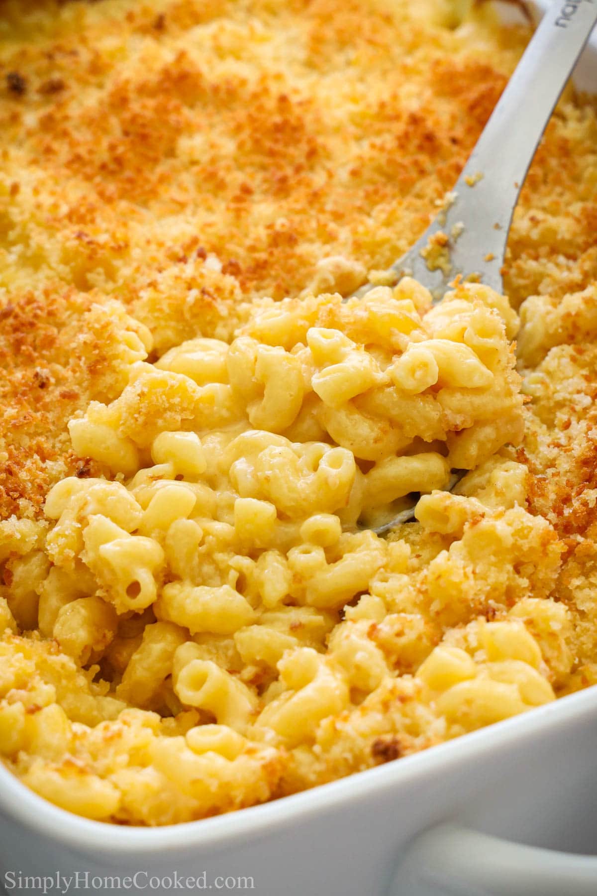 Simple Macaroni and Cheese Recipe (with Video)