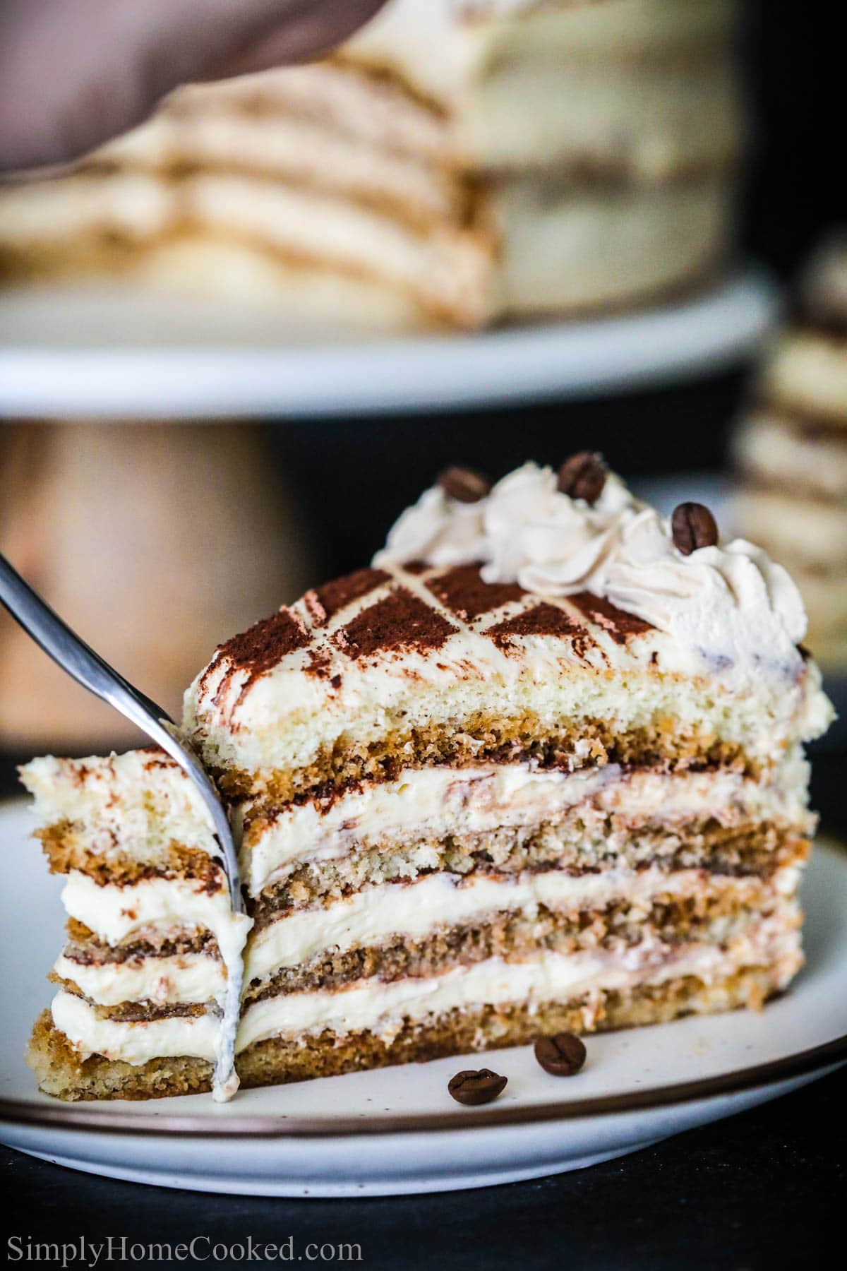 Slice of Tiramisu Cake with a fork slicing through it.