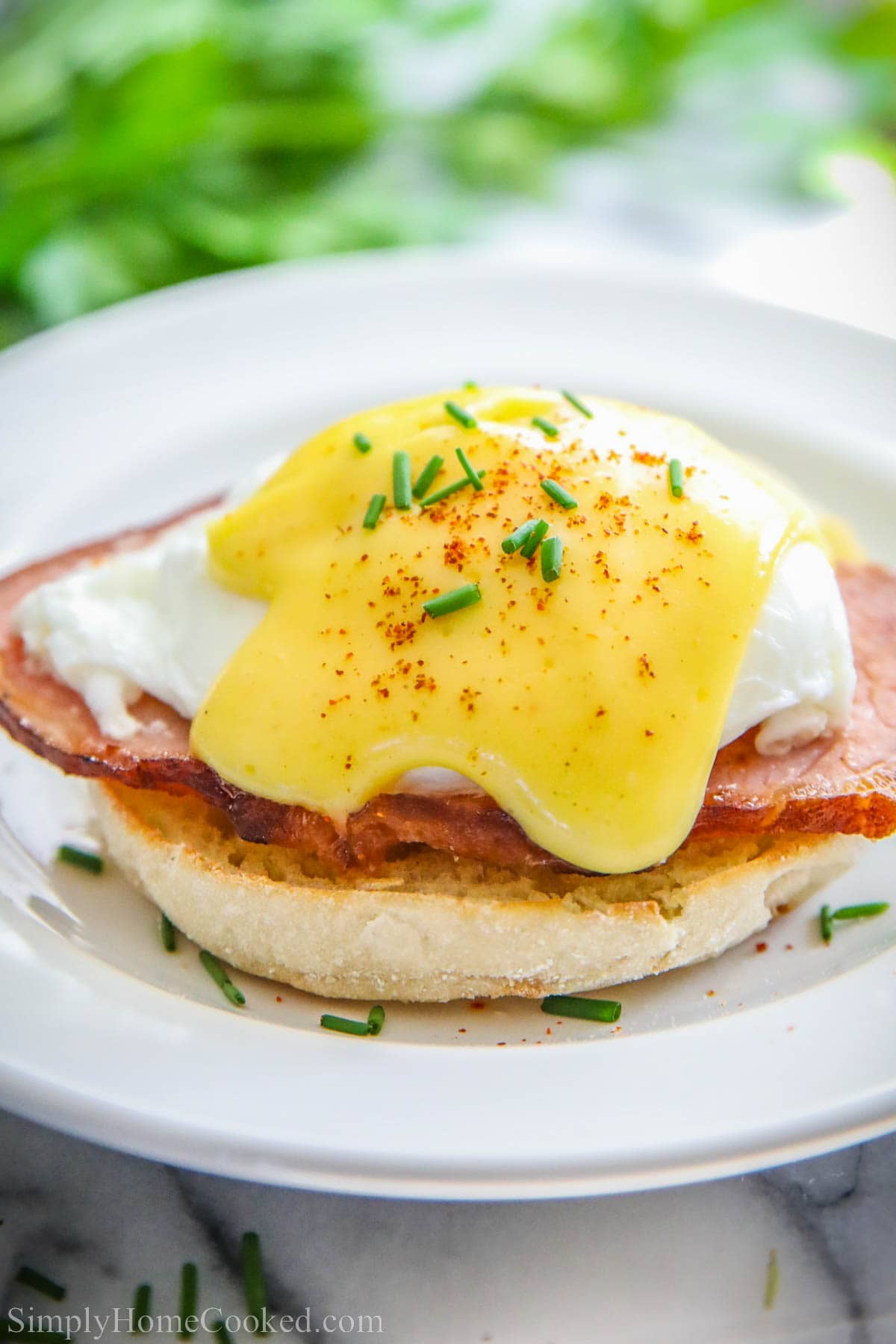 Eggs Benedict on an English muffin with Canadian bacon and poached egg and hollandaise sauce.