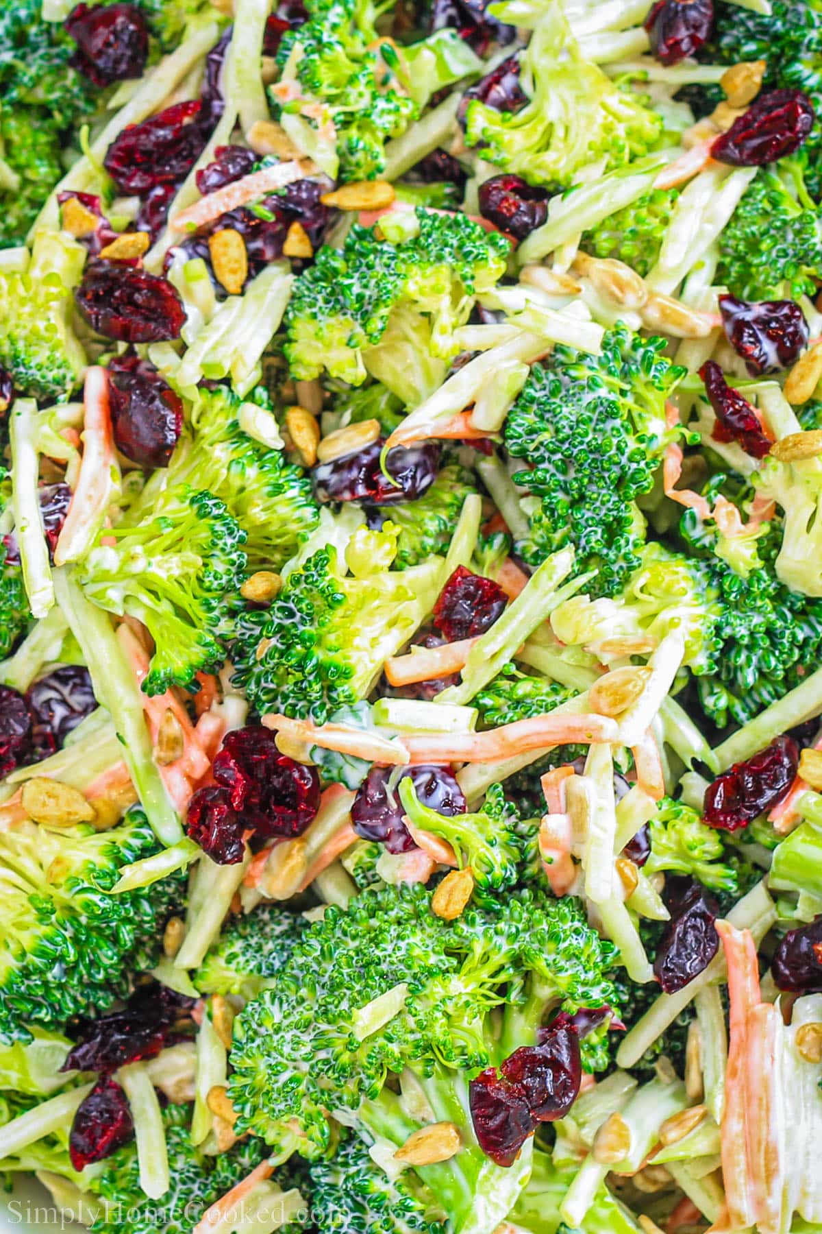 Broccoli Cranberry Salad. 