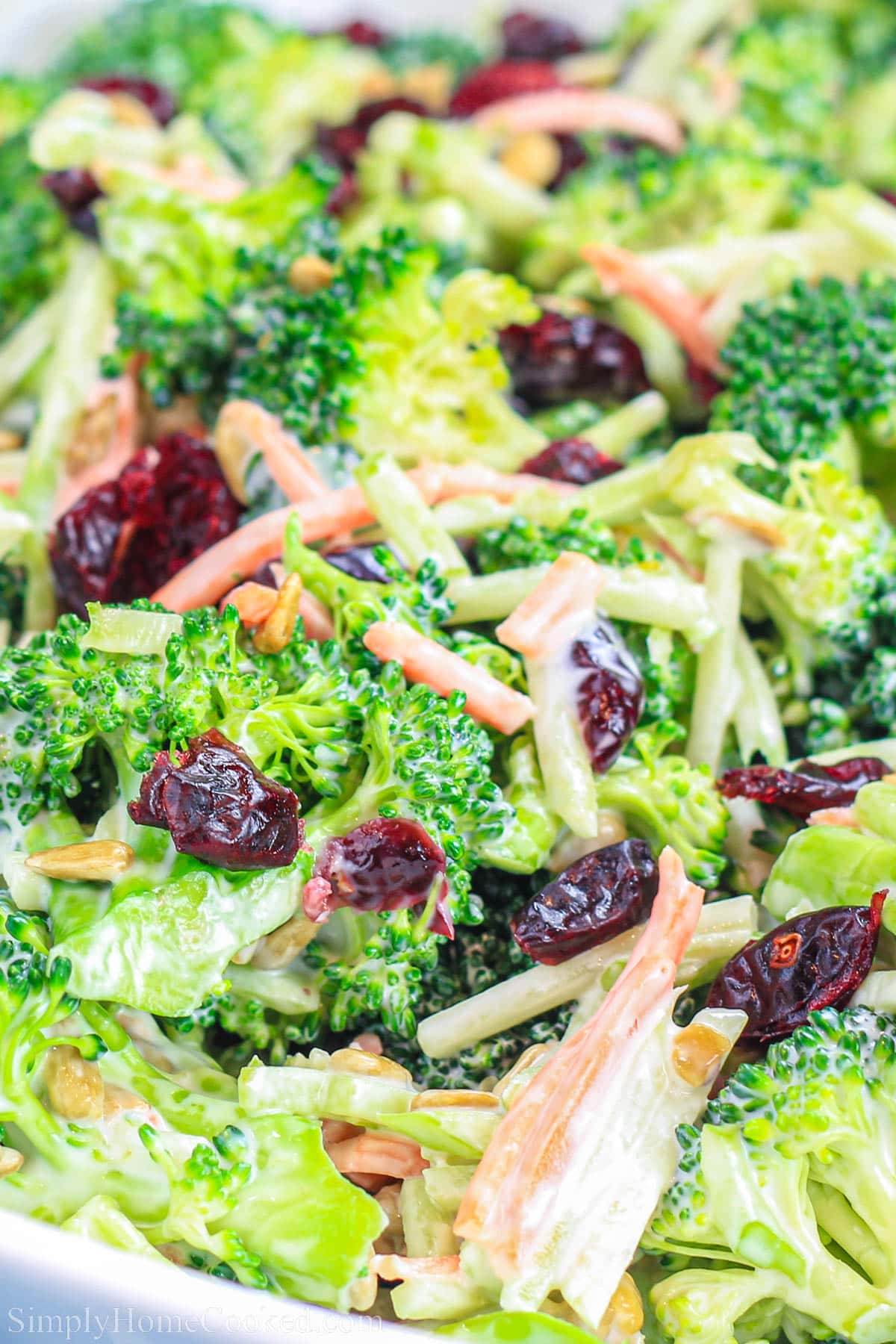 Closeup of Broccoli Cranberry Salad