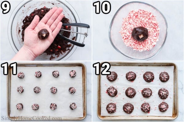 Steps to make Chocolate Peppermint Cookies: scoop the dough with a cookie scoop and roll in a ball, coat the top with crushed candy canes, then bake and top with more crushed candy canes while hot from the oven.