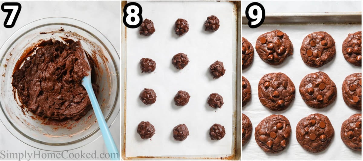 Steps to make Double Chocolate Cookies: roll the dough out into balls, then add chocolate chips on top, and bake.