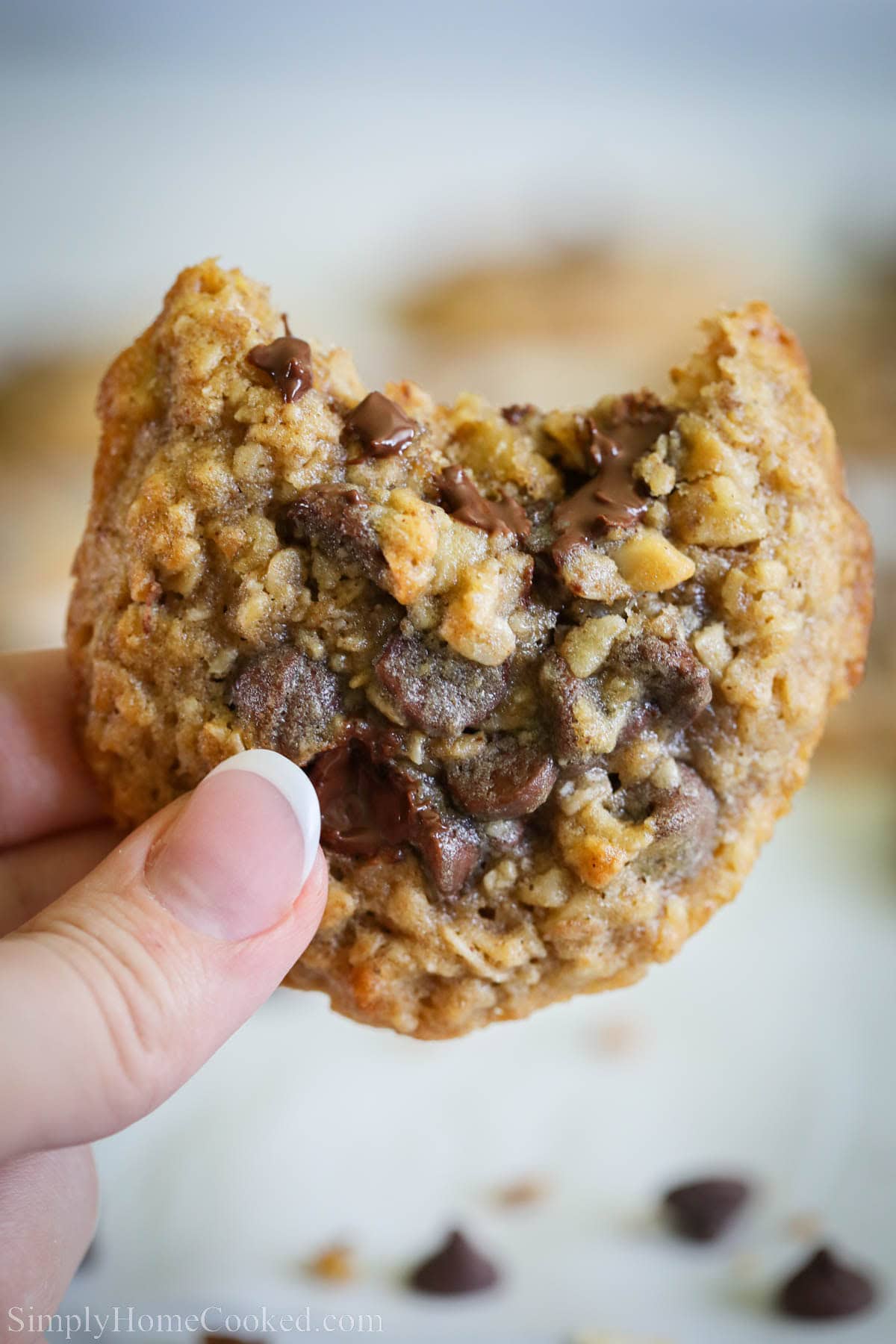 Close up of a hand holding an Oatmeal Chocolate Chip Cookie missing a bite.