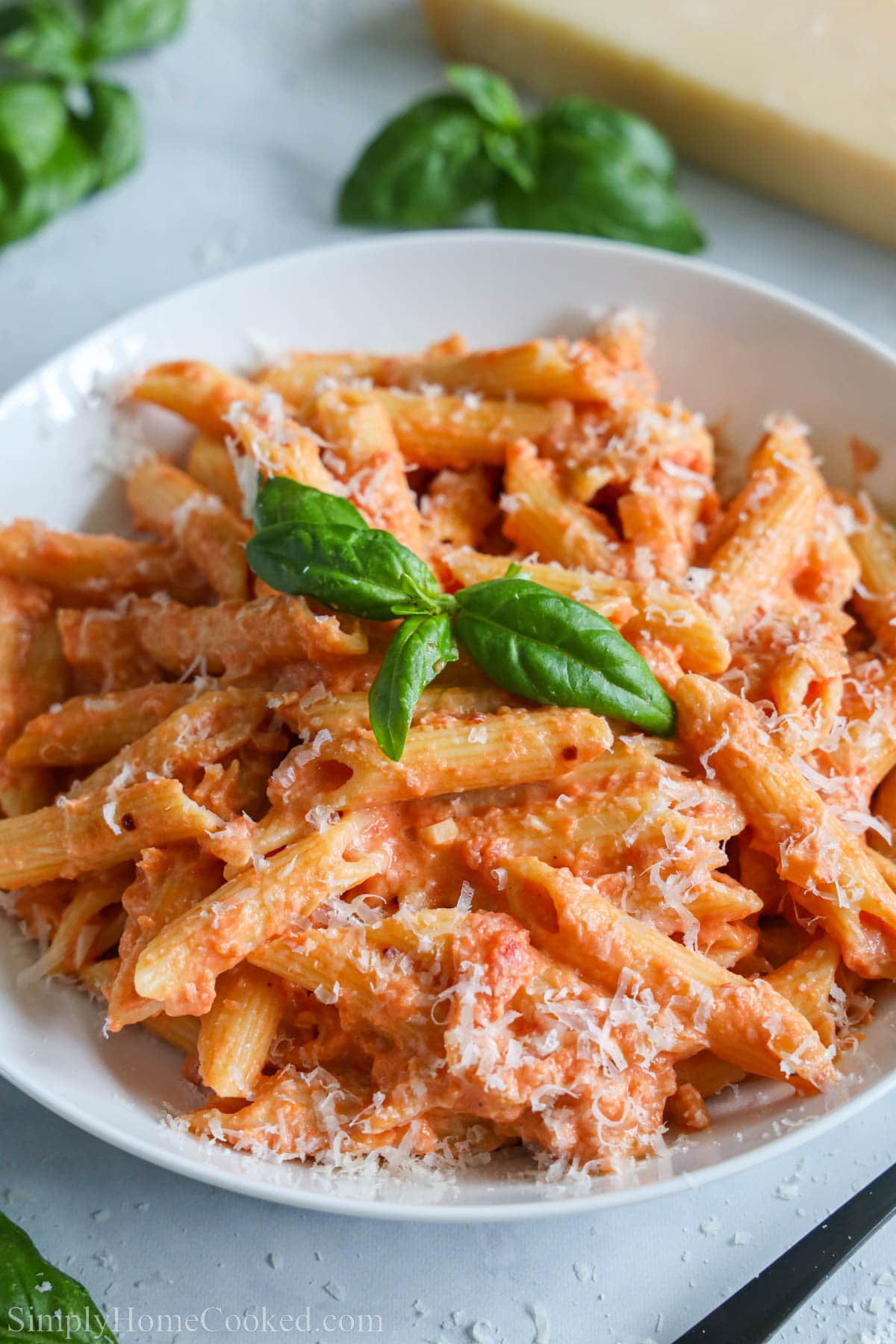 Close up of Penne Alla Vodka.