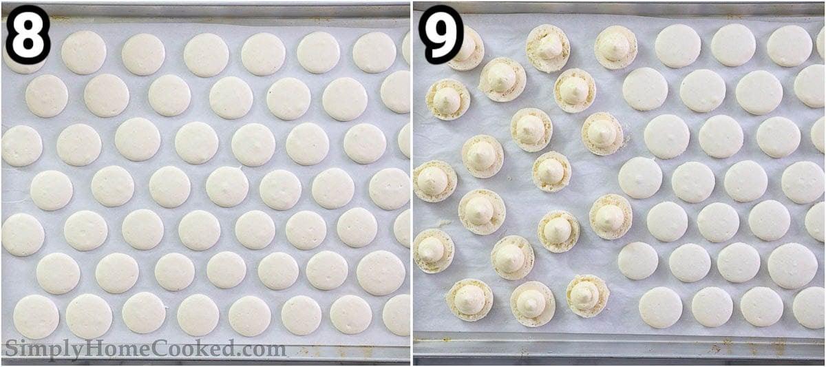 Steps to make Vanilla Macarons: pipe the macaron shells onto a cookie sheet, let them dry, then pipe the buttercream filling on half the shells and top them with the other half.