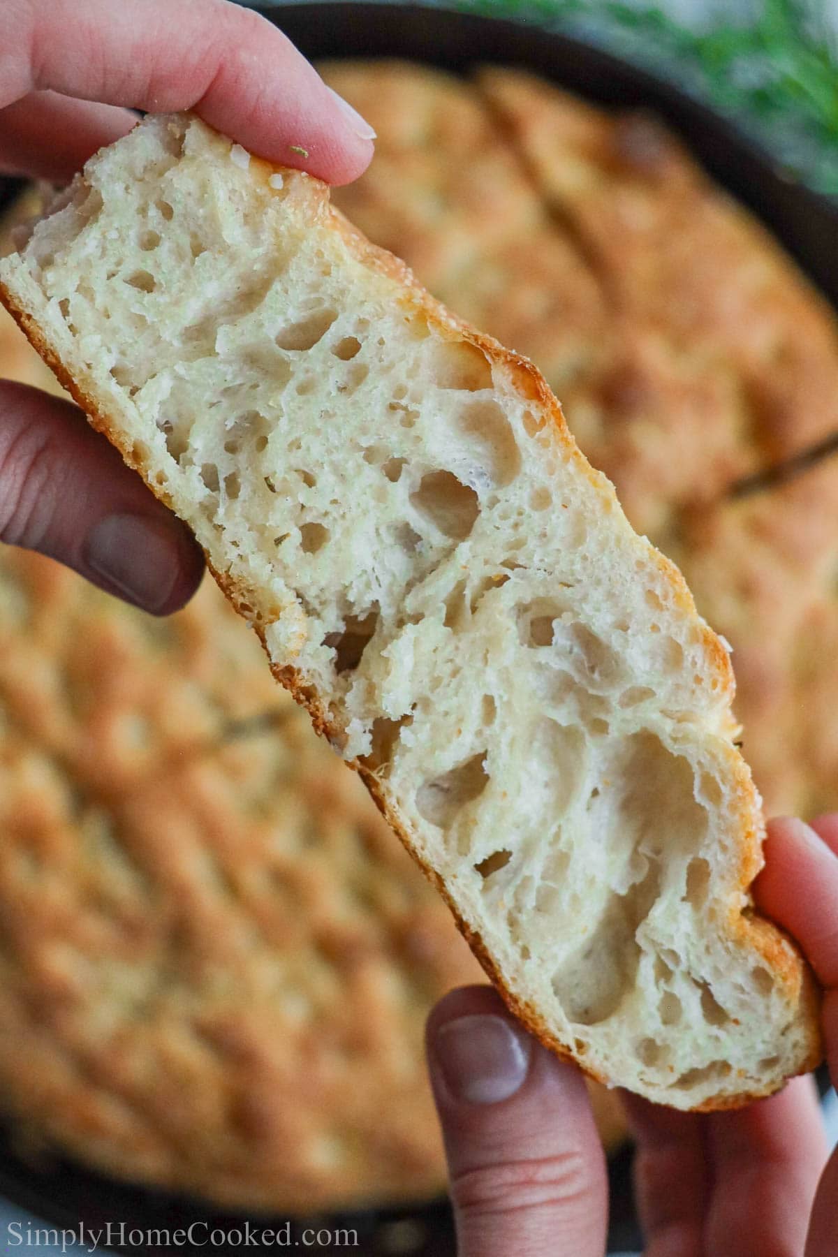 Close po of a slice of Sourdough Focaccia.