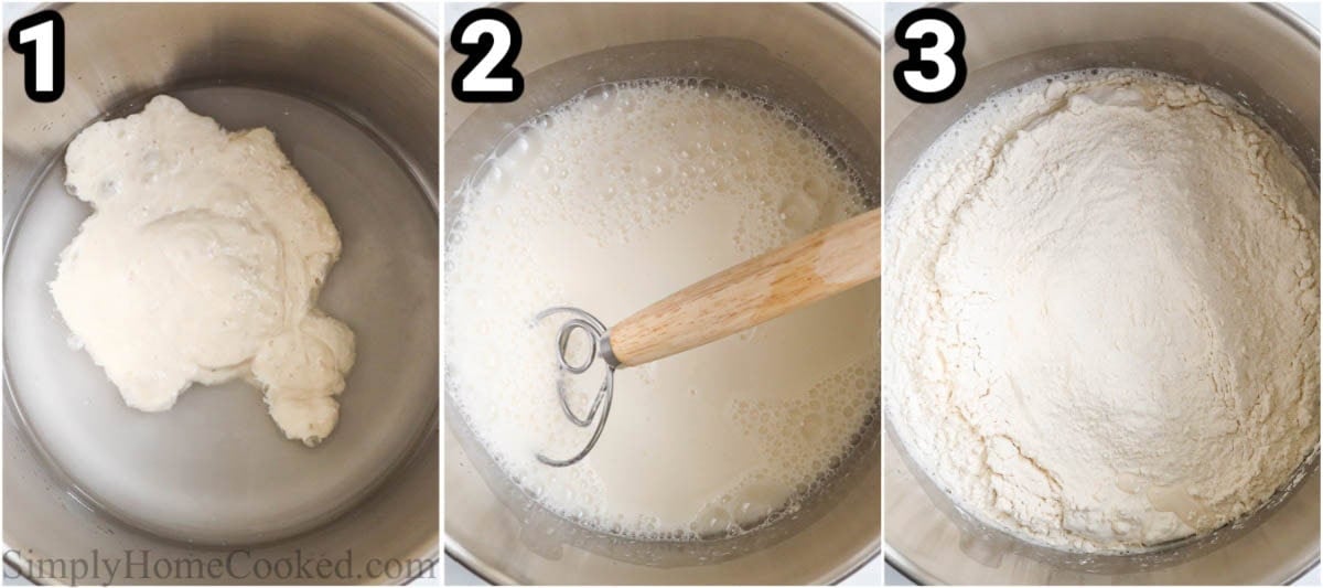 Steps to make Sourdough Focaccia: combine the active sourdough start with water, then mix in the bread flour and "00" pizza flour.